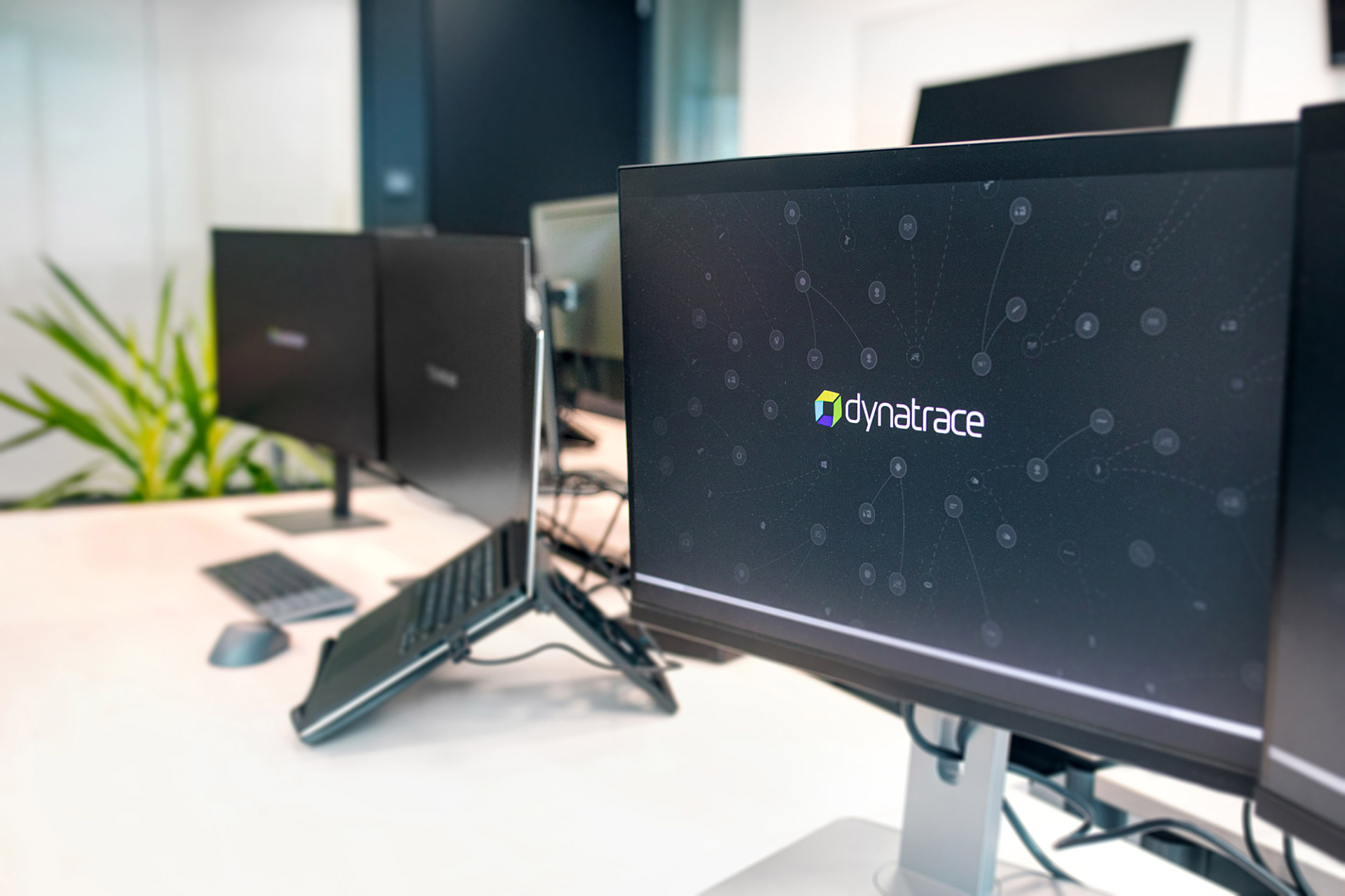 Dynatrace careers location gdansk austria 20