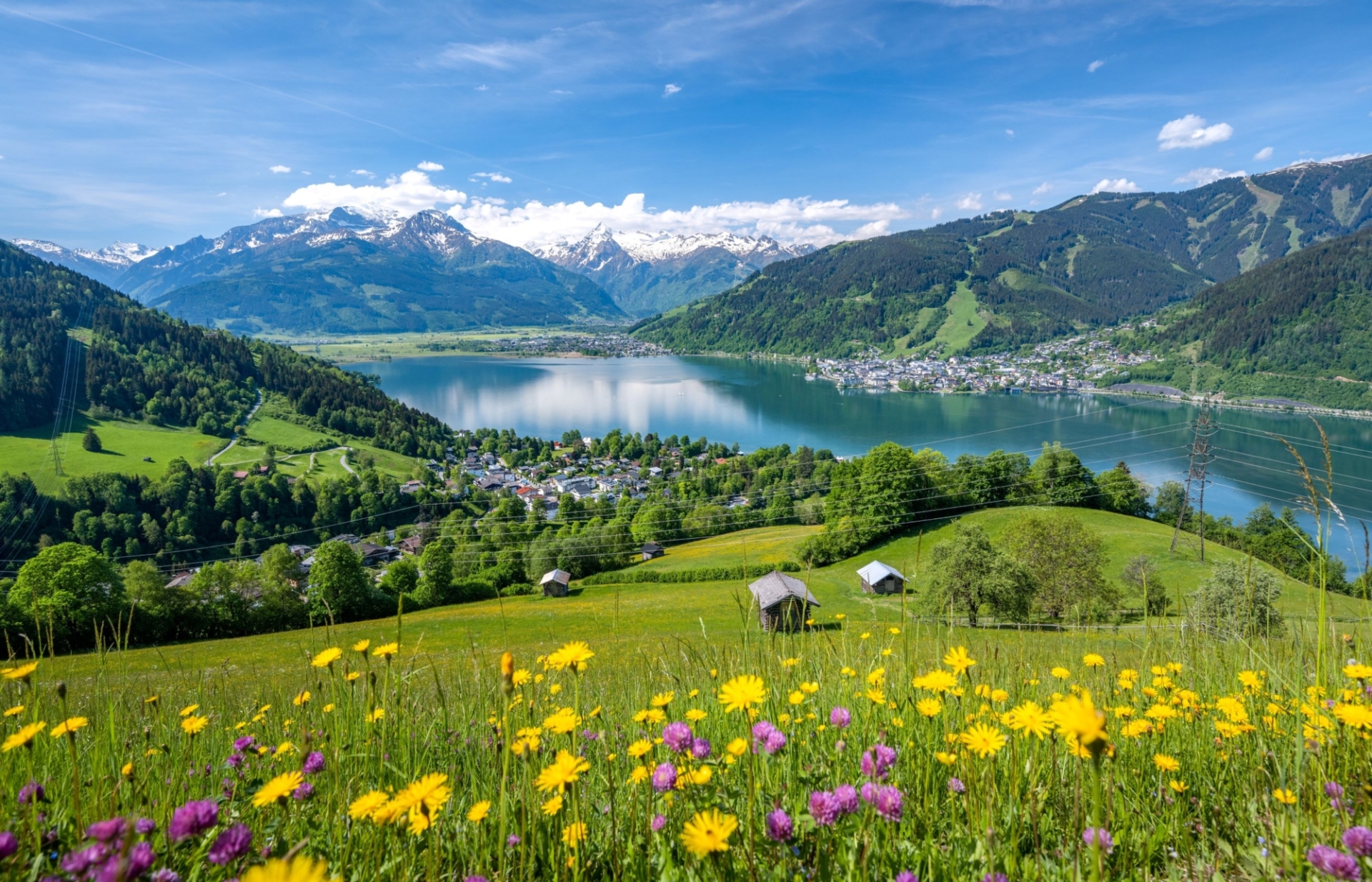 Relocate to austria with dynatrace