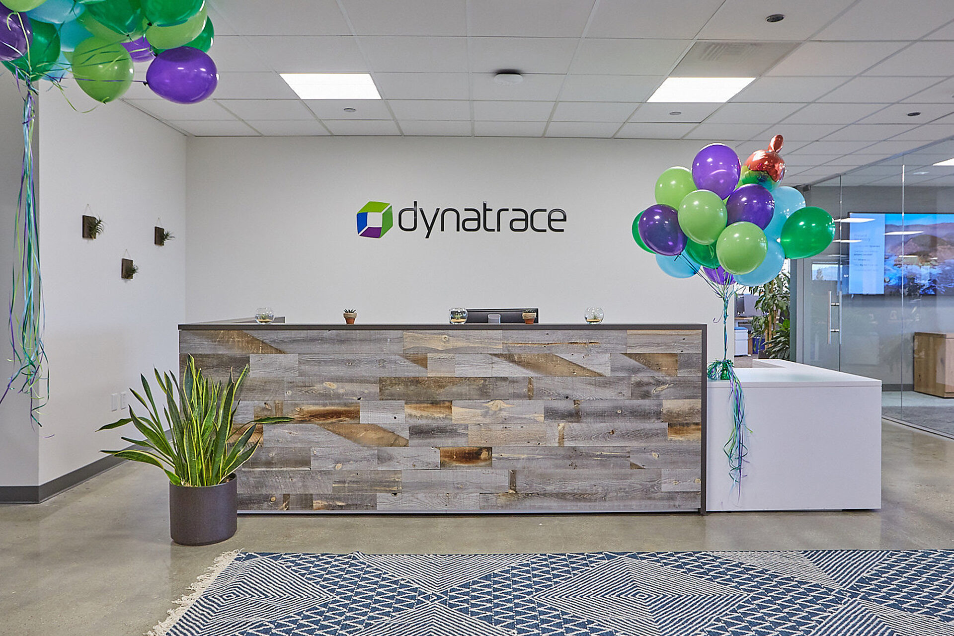 Dynatrace careers location san mateo united states 4