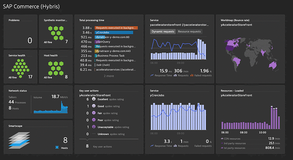 SAP commerce hybris dashboard in Dynatrace screenshot