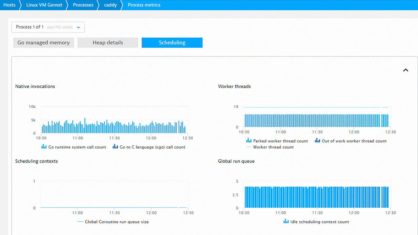 Go monitoring metrics in Dynatrace screenshot