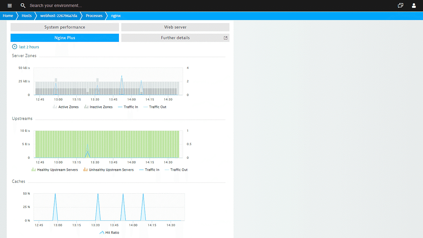 Nginx Plus monitoring metrics in Dynatrace screenshot
