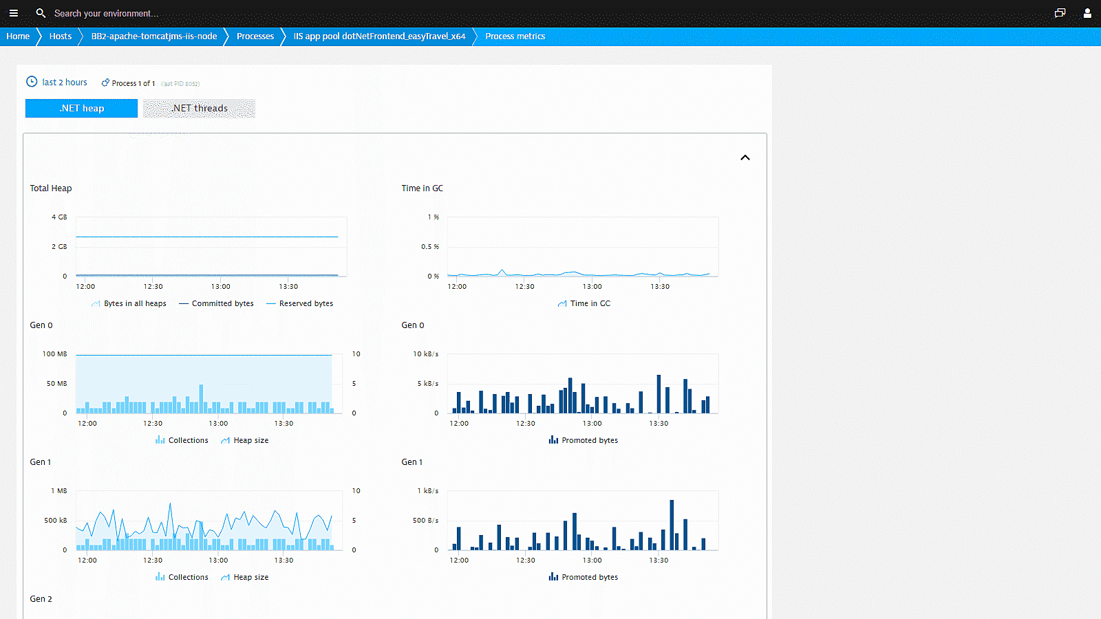 DotNET monitoring metrics dashboard in Dynatrace screenshot