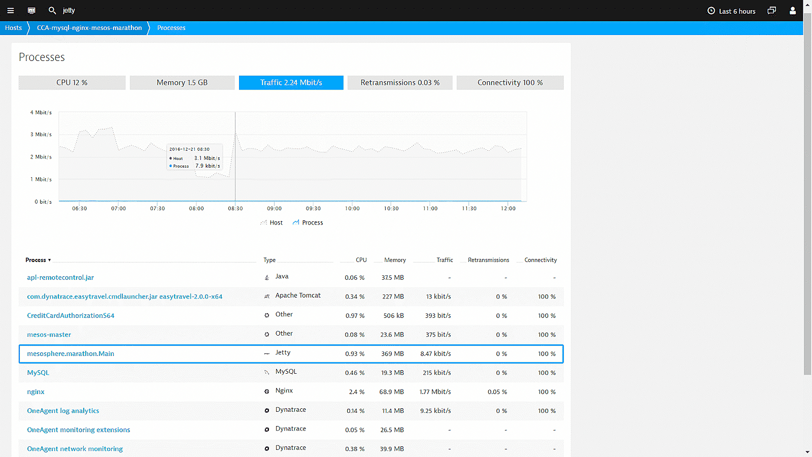 Jetty process metrics in Dynatrace screenshot