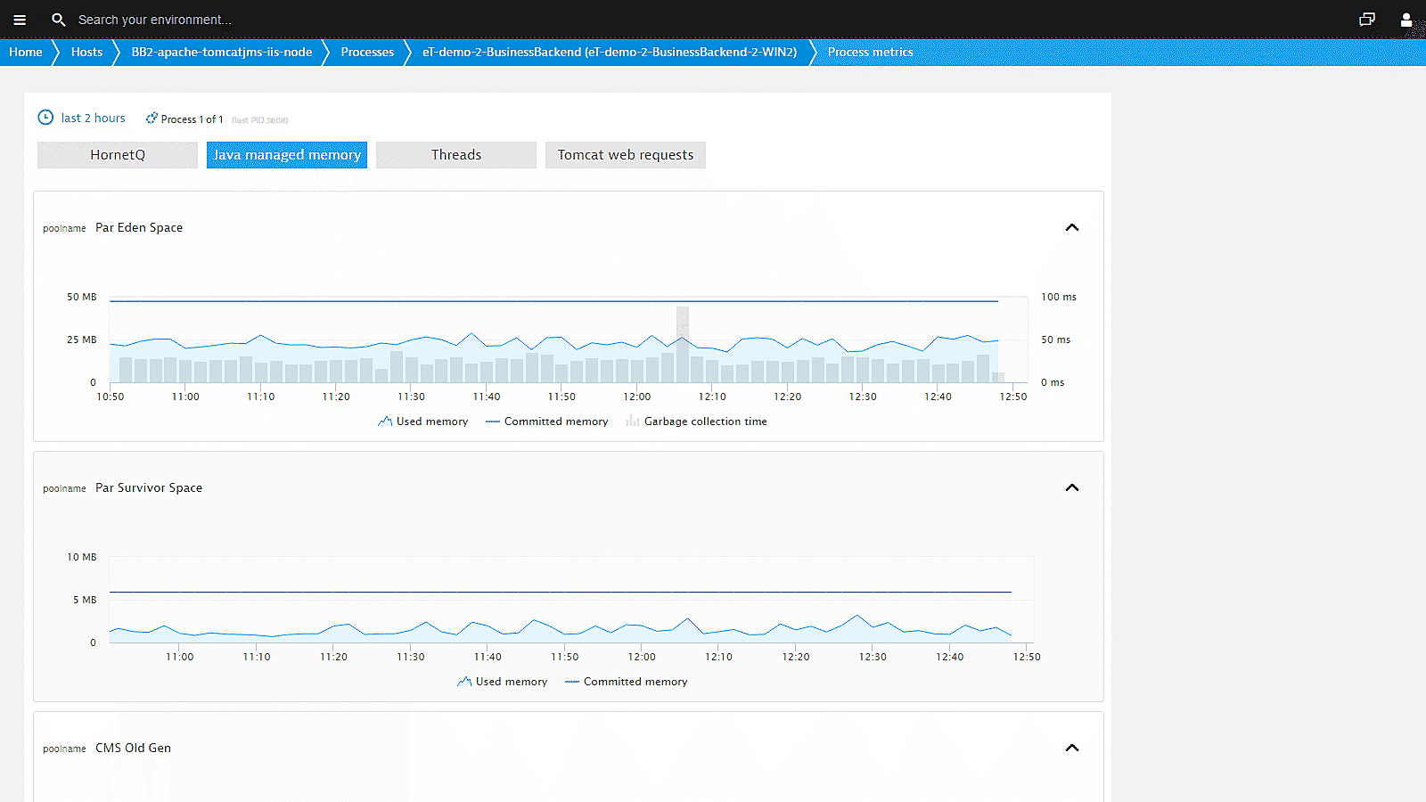 JVM metrics in Dynatrace screenshot