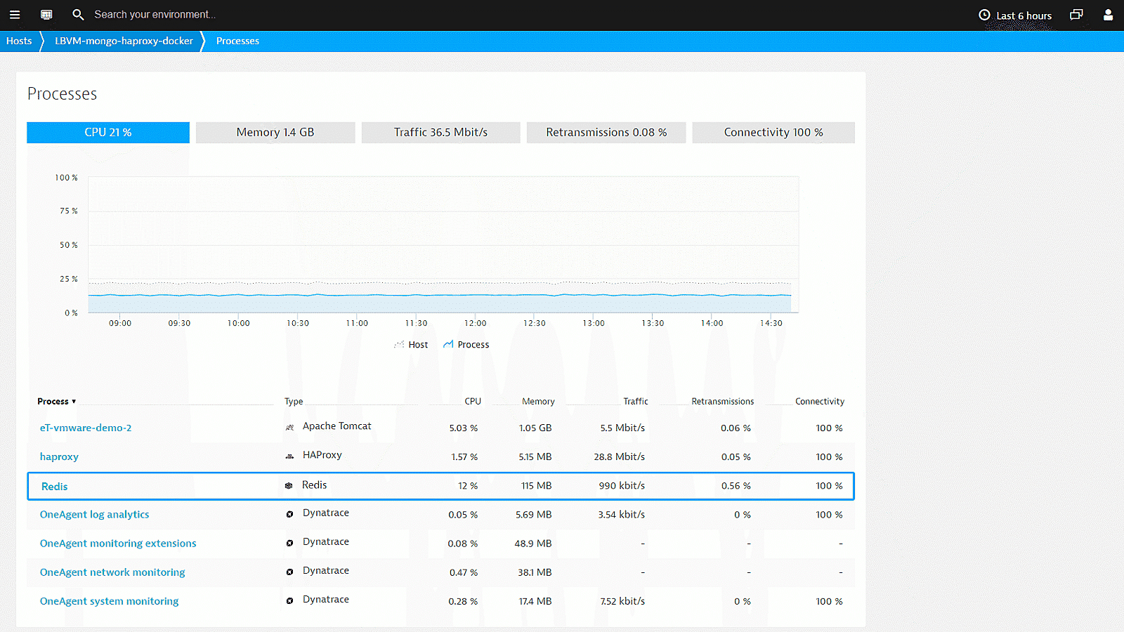 Redis processes list in Dynatrace screenshot