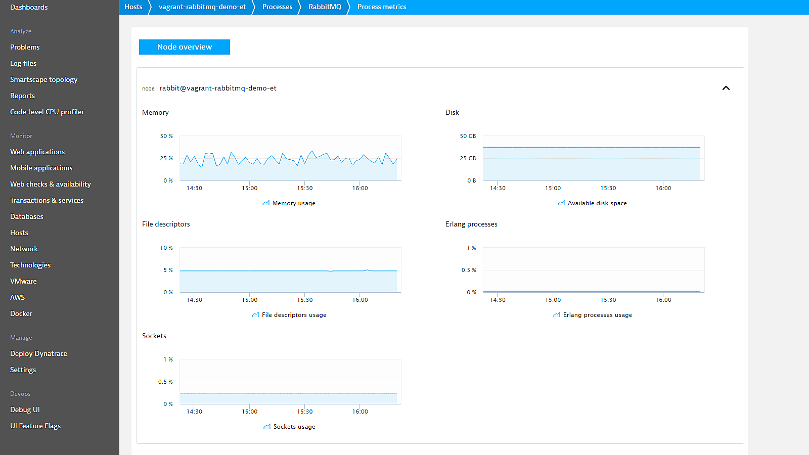 Dynatrace RabbitMQ node overview monitoring