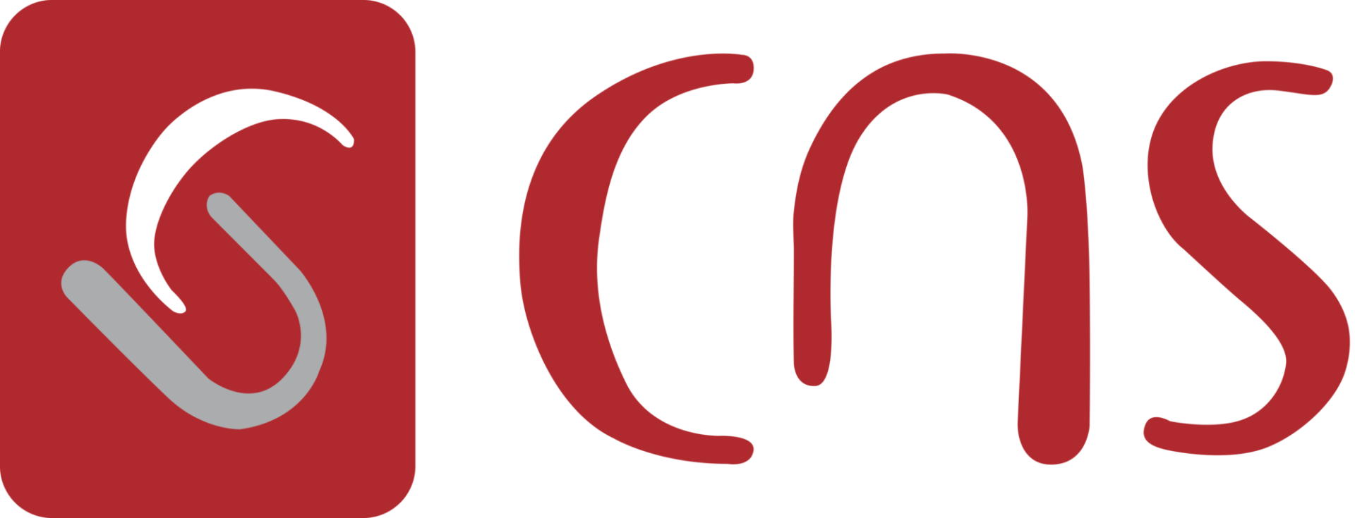 CNS Logo High Res